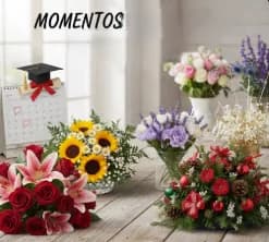 Fechas Conmemorativas