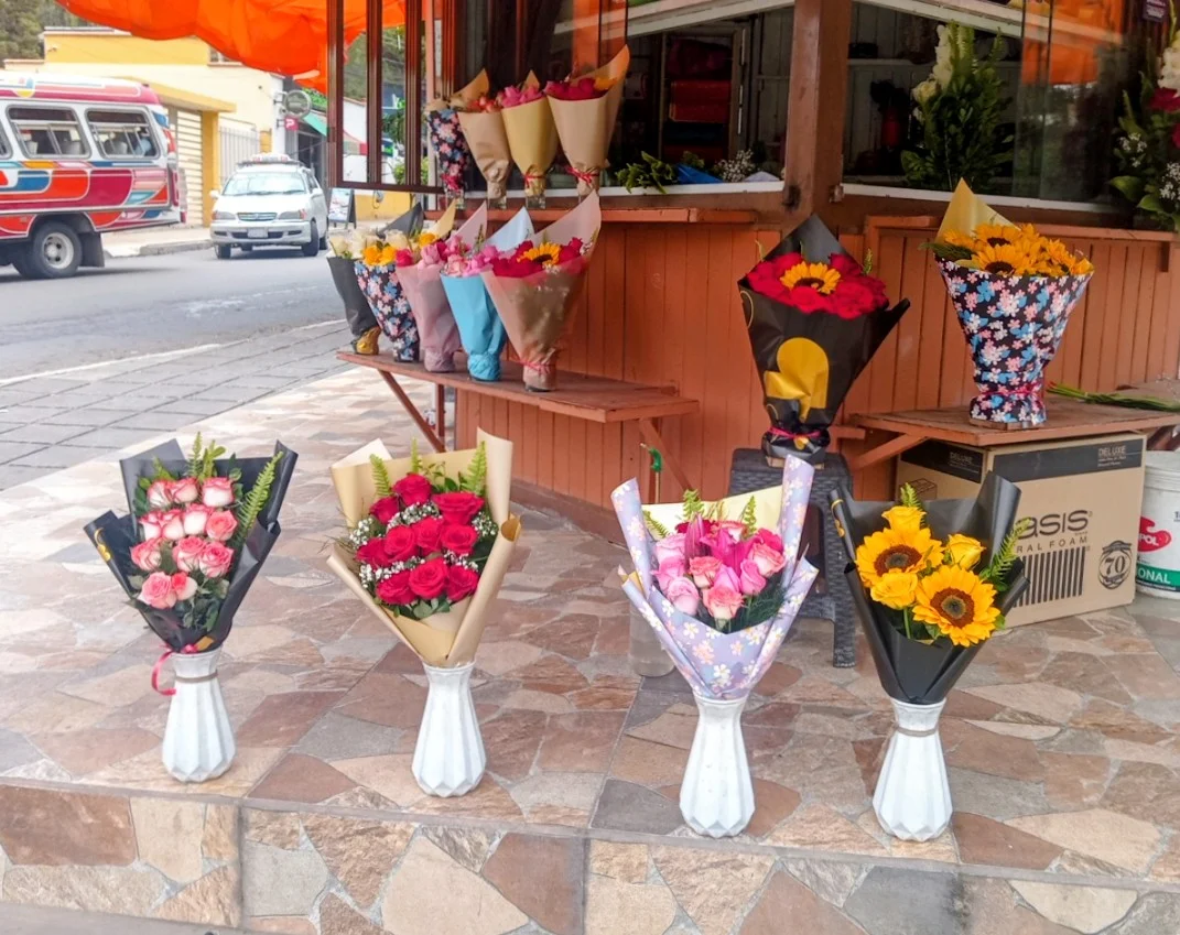 Fachada Flor de Loto